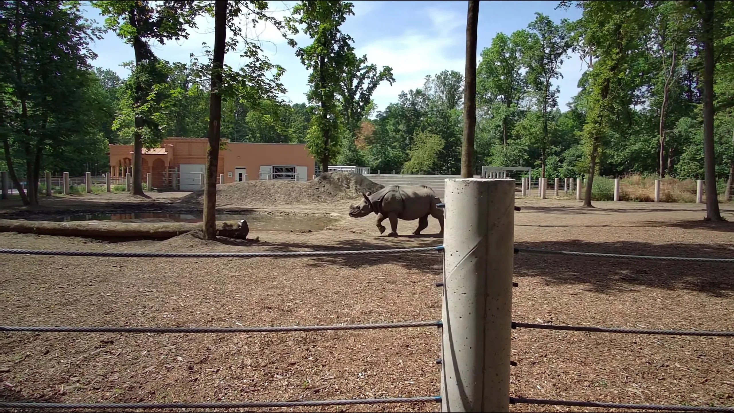 Szegedi Vadaspark (Zoo Szeged)