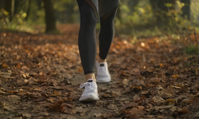 Trening za pocetnike