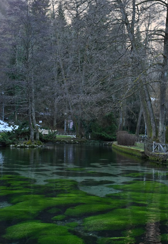 vrelo bosne u sarajevu