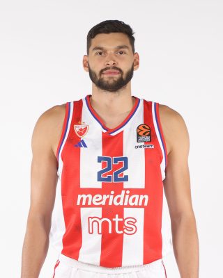 Dalibor Ilic